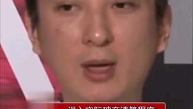 娱乐圈吃瓜熊猫,熊猫视角下的吃瓜盛宴